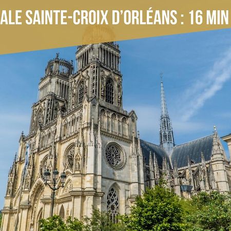 Le St Paterne, Hyper Centre, 3 Chambres Tt Confort 奥尔良 外观 照片