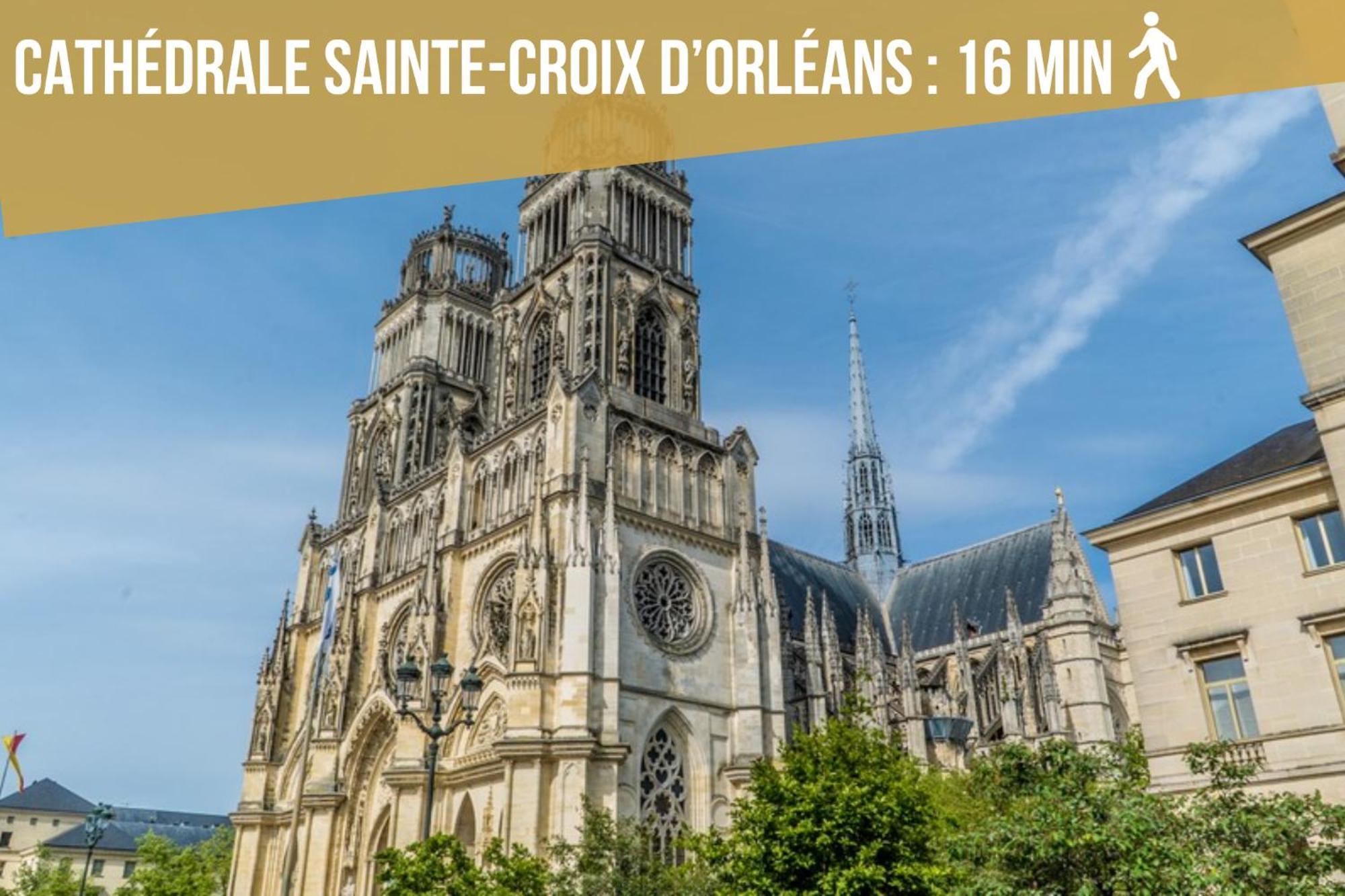 Le St Paterne, Hyper Centre, 3 Chambres Tt Confort 奥尔良 外观 照片